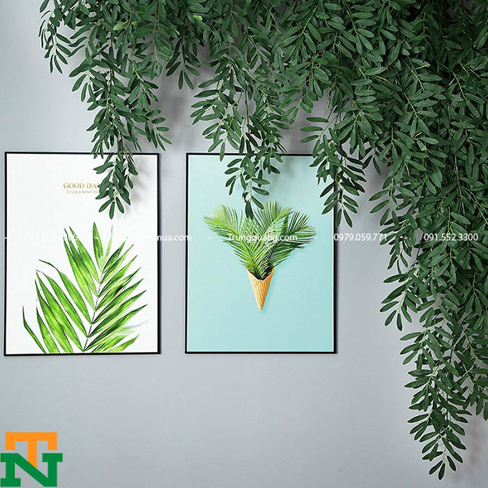 bạch đàn xanh giả rủ decor